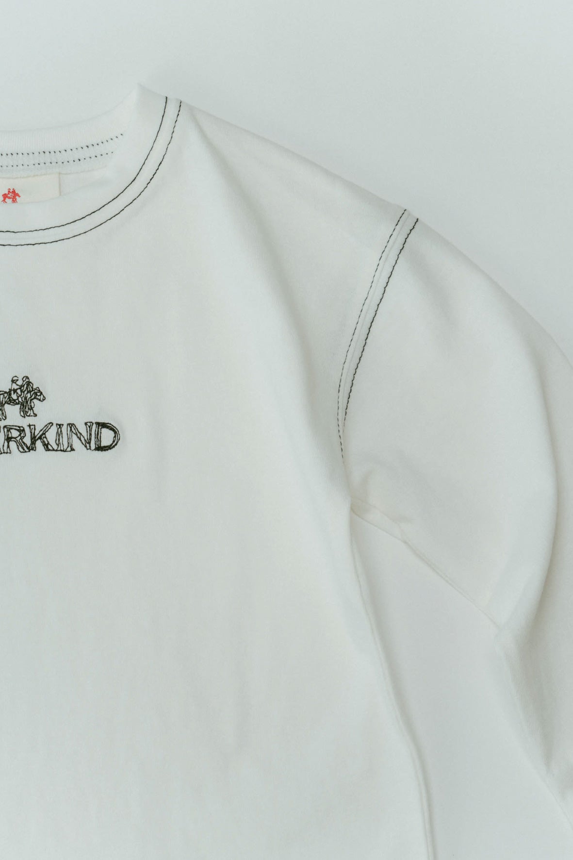 Embroidered Long-sleeve T-shirt(ivory)