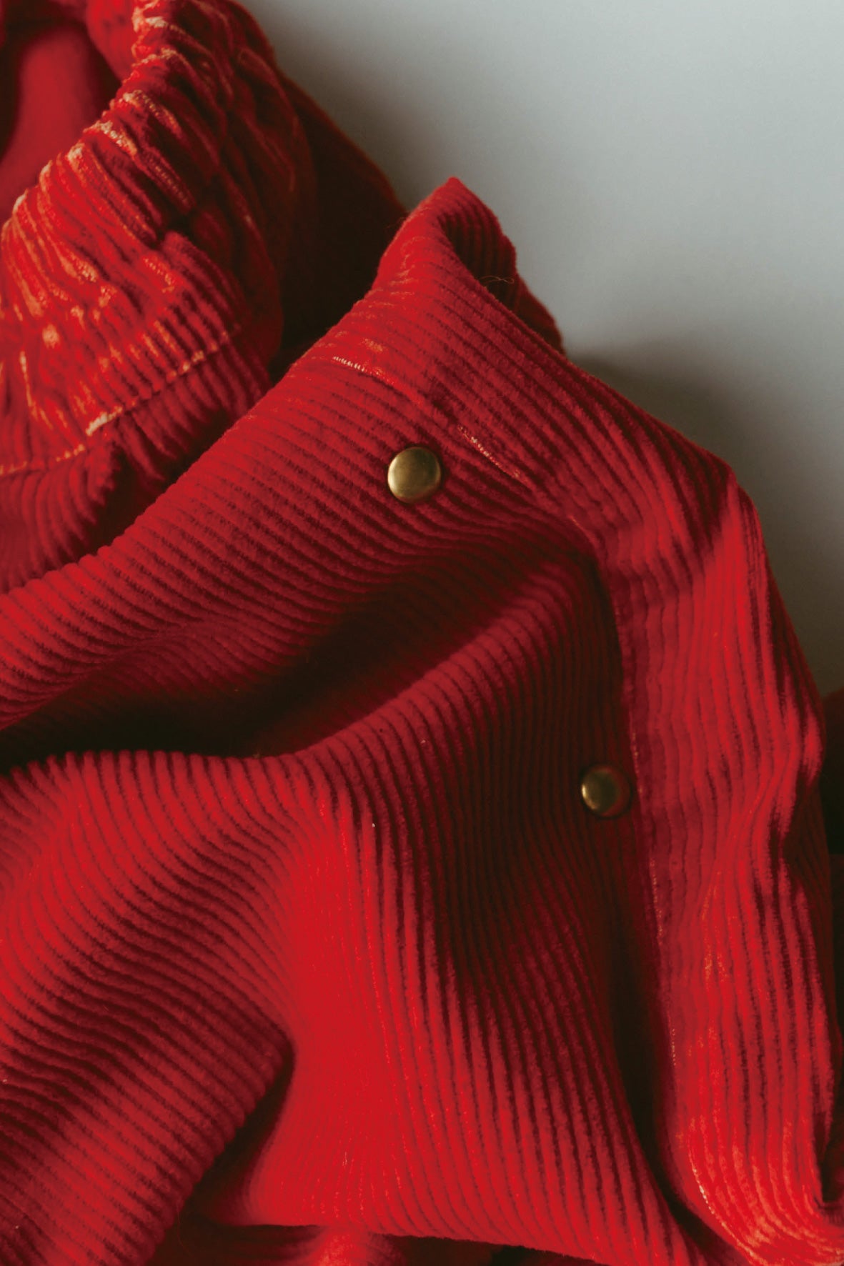 Embellished Corduroy Pants(red)