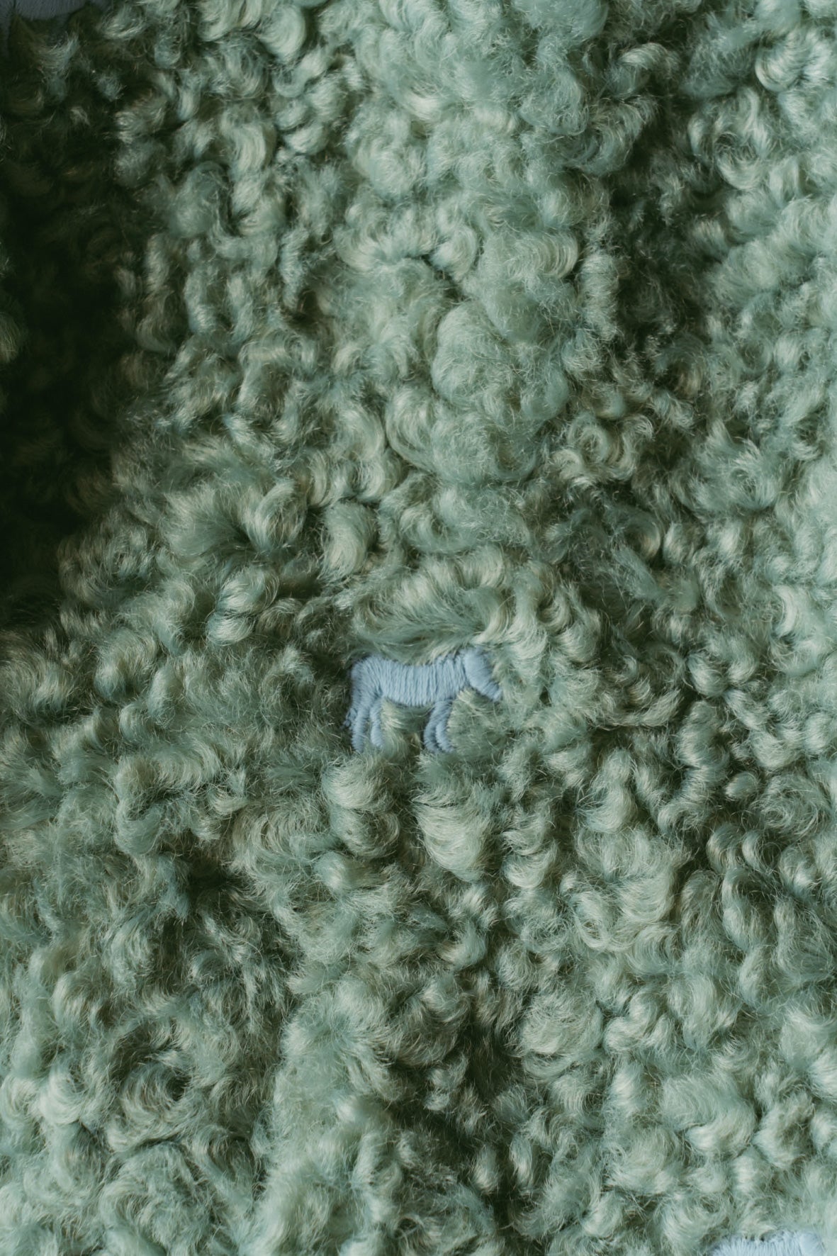 Convertible Boa Fleece Jacket(green)